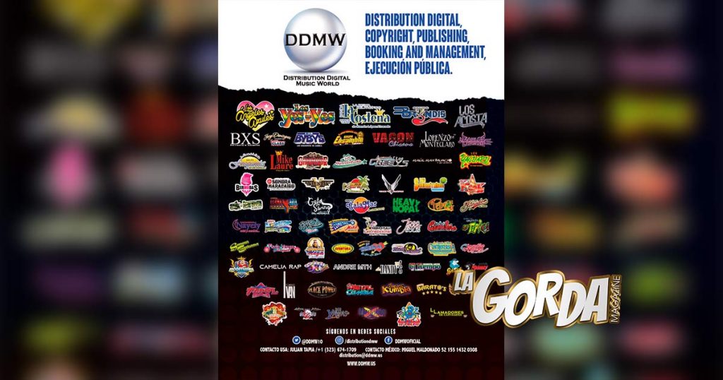 DDMW, Empresa integral en distribución digital