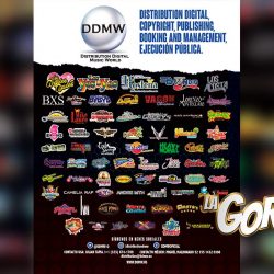 DDMW: Empresa integral en distribución digital