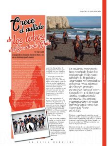 Los Lobos del Sur